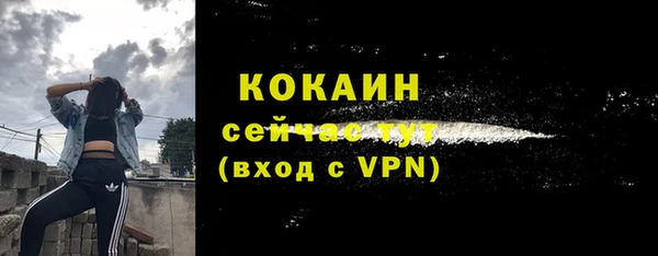 дмт Абаза