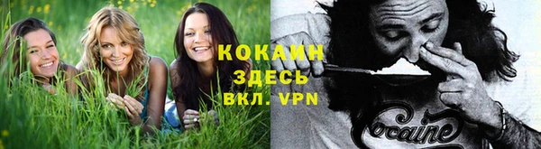 spice Абинск